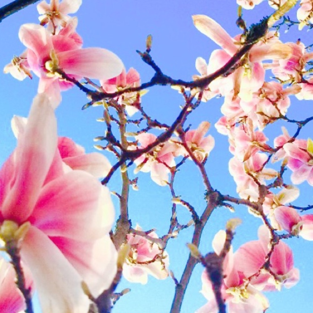 Meet your Posher, Barbara